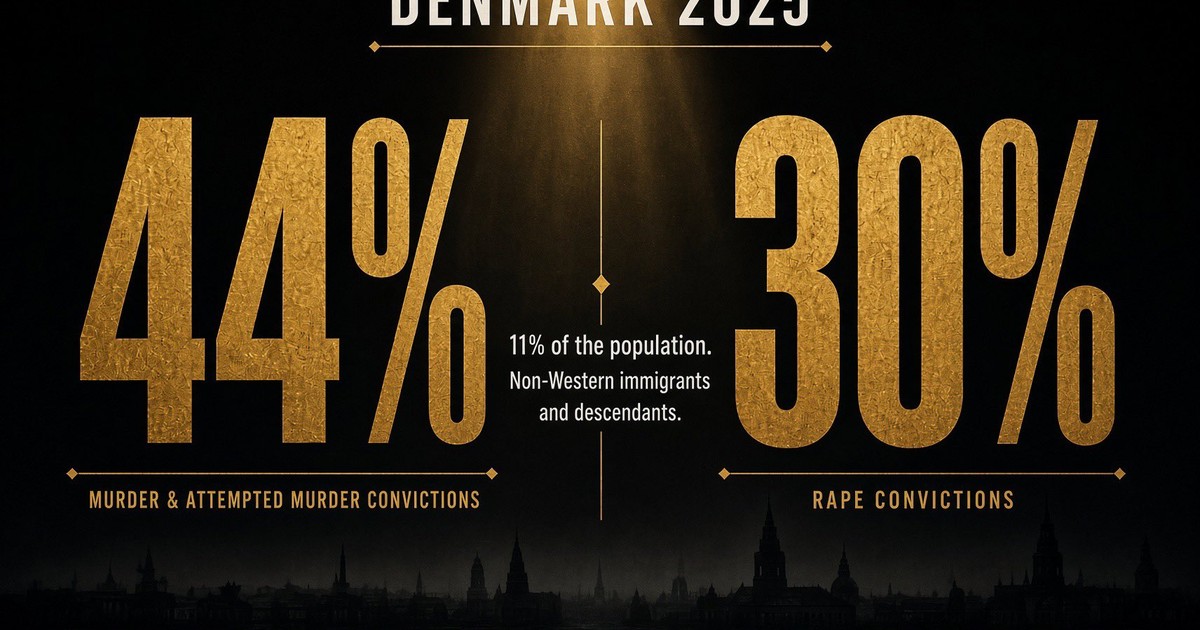 Image from Rebecca Mistereggen’s post on the Danish Justice Ministry memo